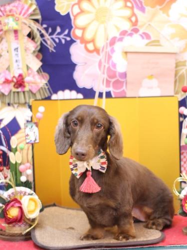 20240117チョペくん